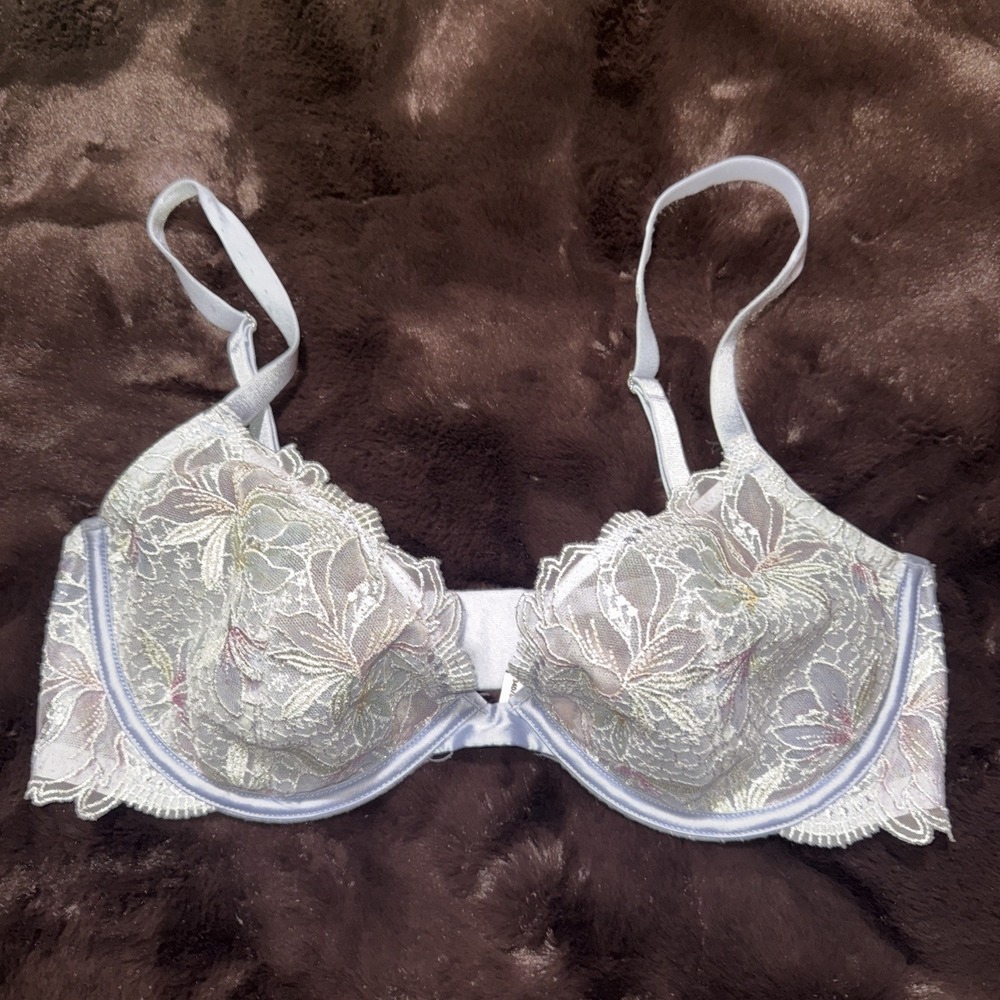 Victoria's Secret Bra Luxe Low Cut Demi Pastel Mesh Embroidered Blue Unlined 34d